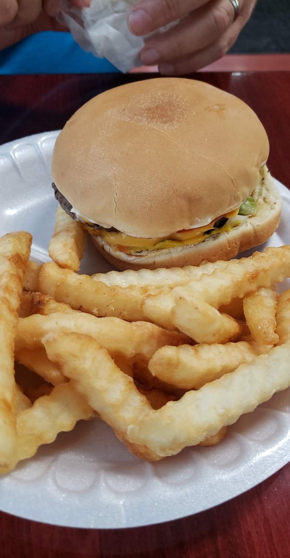 Cheeseburger and Fries
